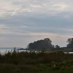 Anni *