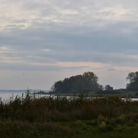 Anni *